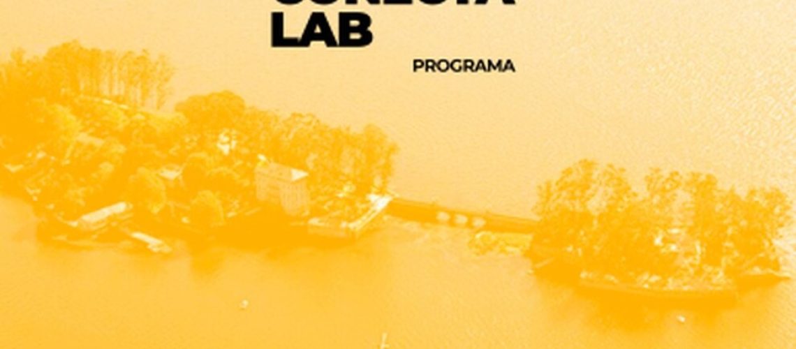 conecta lab1